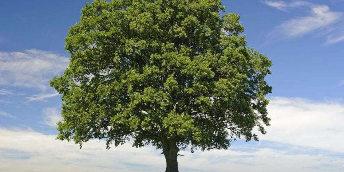 Understanding TSD: The Importance of Temperature Sensitivity in Development